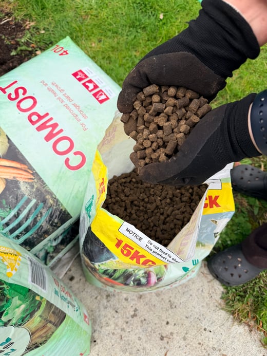 Dahlia soil prep 4