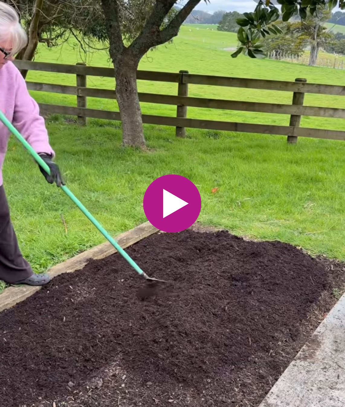 Dahlia-Planting-Reel-2