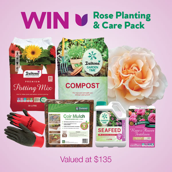 Daltons Rose Planting & Care Pack 1-1