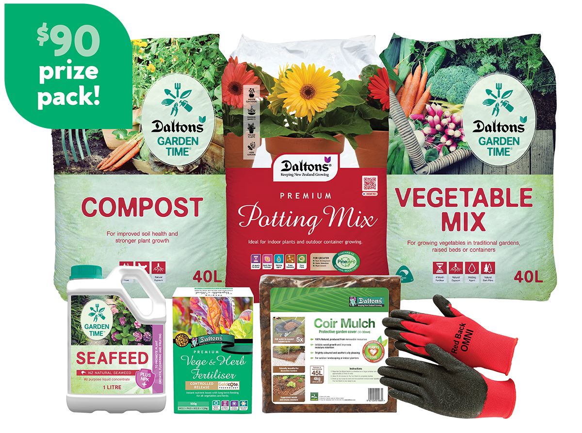 Daltons Veggie pack_Nov 2025 sm-1