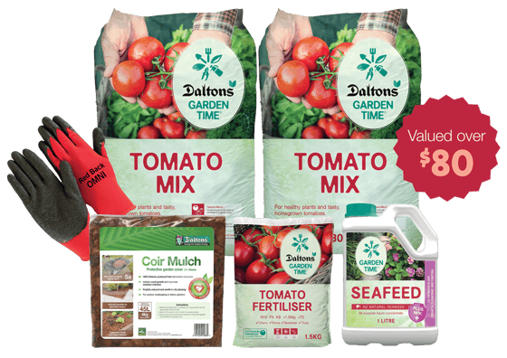 Daltons-Tomato-pack_Oct-2026-Web