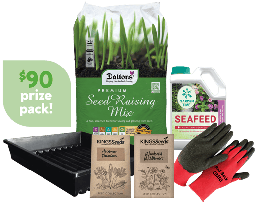Daltons-Veggie-Seed-pack_Aug-2026-1