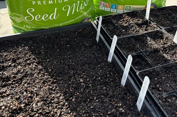 Grow-from-seed