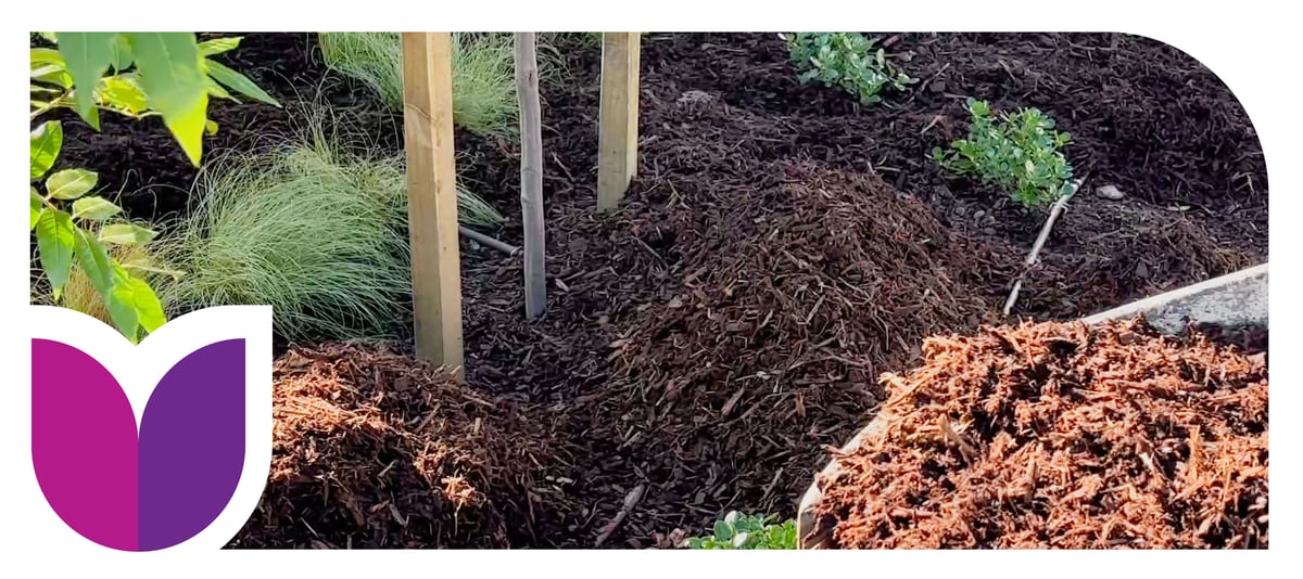 June Mulching-1