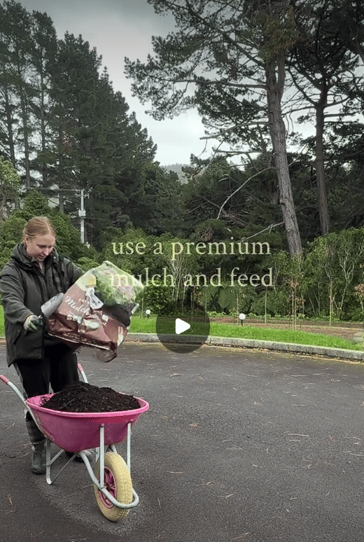 Mulch_becshomeandgarden