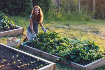 Newbie Gardener