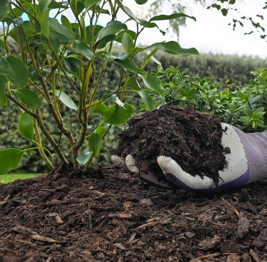 Premium-Mulch-&-Feed-1