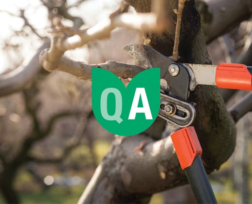 Pruning QA