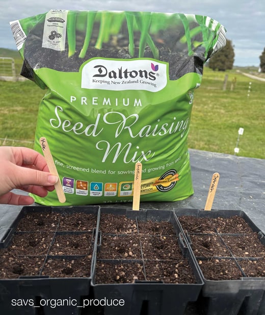 Seed sowing-Aug-13-2026-09-46-16-4099-PM
