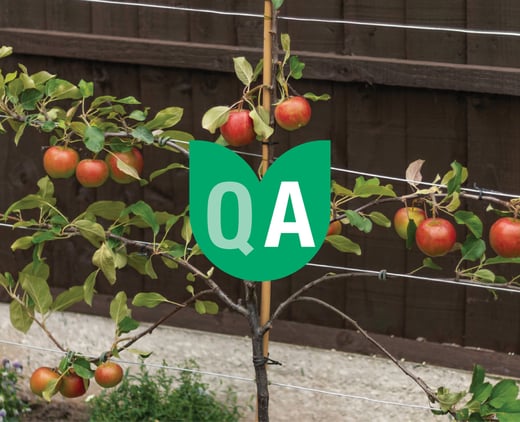 espalier QA