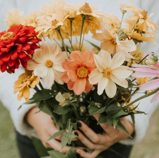 Cut flowers
